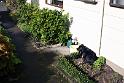 spot in the sun 1